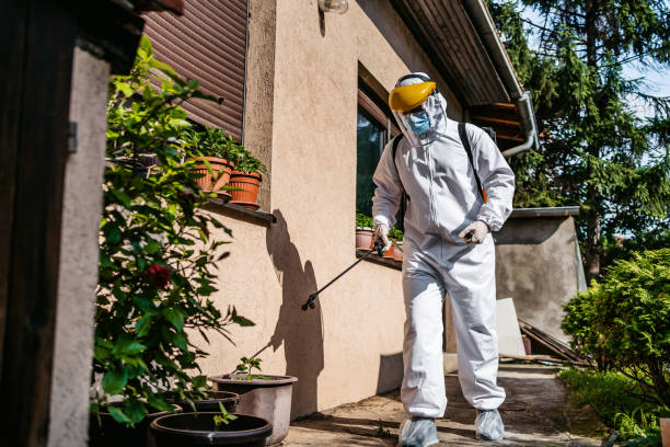 Best Spider Control Near Me  in Manitowoc, WI