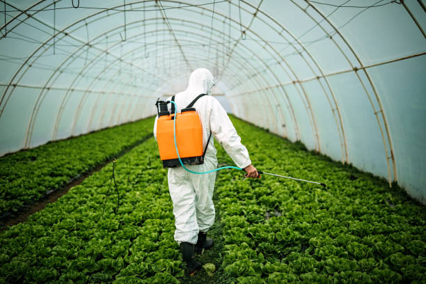 Best Pest Control Near Me  in Manitowoc, WI