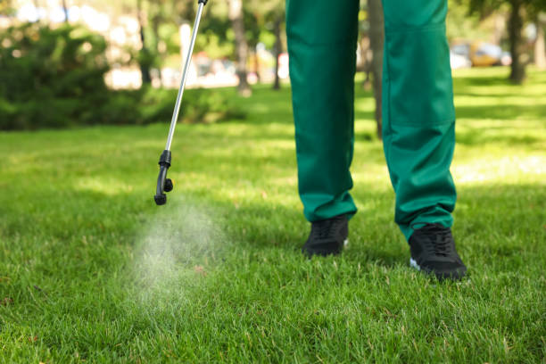 Best Residential Pest Control  in Manitowoc, WI