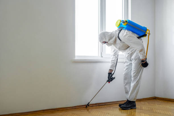 Pest Control for Restaurants in Manitowoc, WI