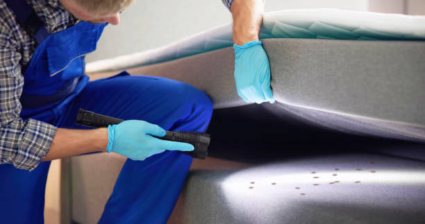 Best Local Pest Control Services  in Manitowoc, WI