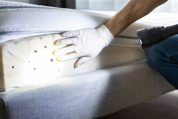 Best Pest Removal Services  in Manitowoc, WI