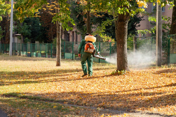 Best Exterminator Services  in Manitowoc, WI