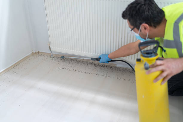 Best Wasp Removal Services  in Manitowoc, WI